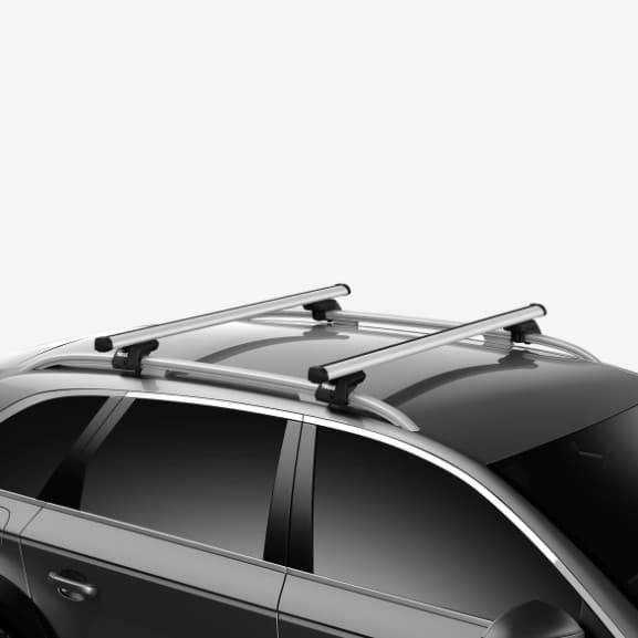 ProBar silver on vehicle with raised rails