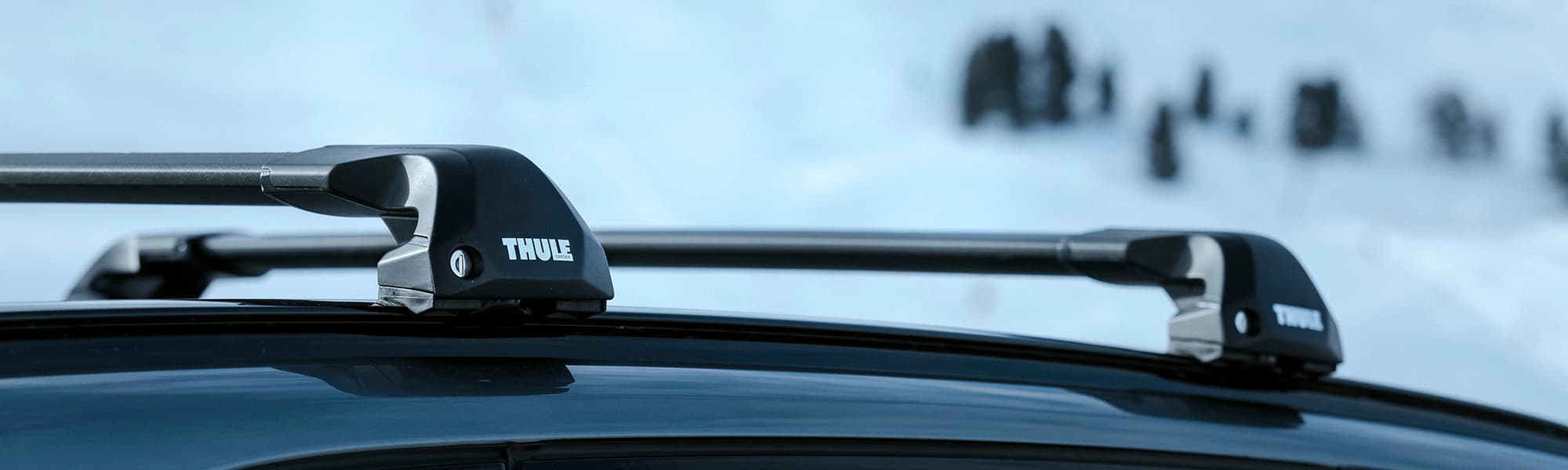 Thule Base Racks